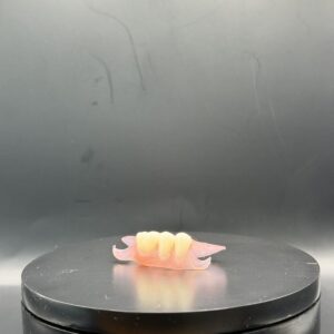 Nesbit Flexible Partial Denture